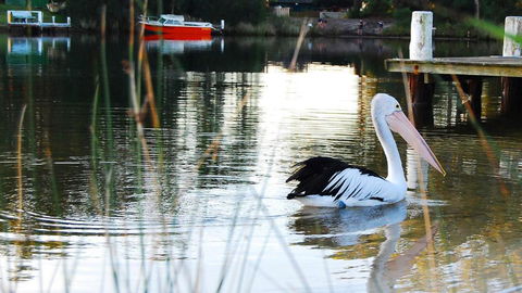 Riverfront Delight - Whitsundays Accommodation 4