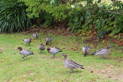 Leura Fairways East - Whitsundays Accommodation 2