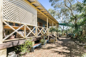 Scribbly Gum - Whitsundays Accommodation 0