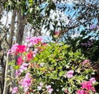 Crows Nest Motel - Whitsundays Accommodation