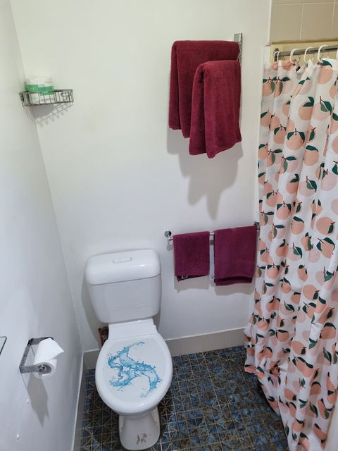 Taree Lodge Motel - Whitsundays Accommodation 4
