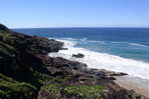 OceanScape Luxury Beachfront Villas - Whitsundays Accommodation 5