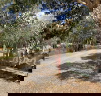 Bushland - Whitsundays Accommodation