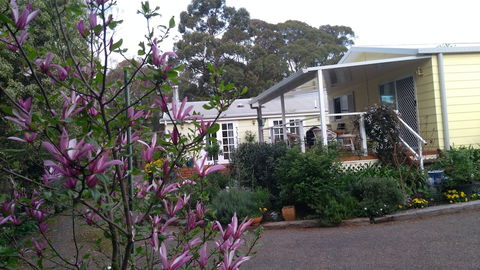 The Best Exotic Magnolia Cottage - Whitsundays Accommodation 4