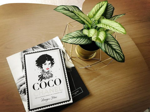 ILK Apartments South Yarra - Whitsundays Accommodation 2