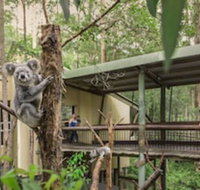 Springwood Meditation Vacation Center - Whitsundays Accommodation