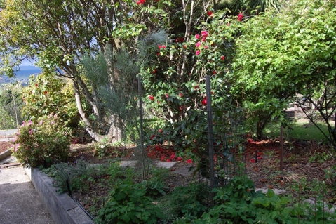 Trevallyn House - Whitsundays Accommodation 1