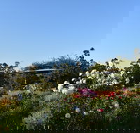 Labertouche Gypsy Creek Winery - Whitsundays Accommodation