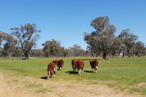 Jindera Park - Whitsundays Accommodation 0