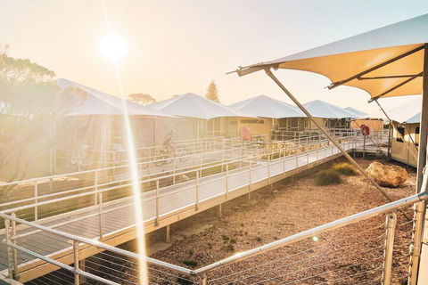 Discovery Rottnest Island - Whitsundays Accommodation 5