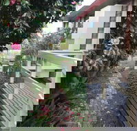 The Glen Family House - Whitsundays Accommodation