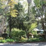 Two Sisters Chalets - Whitsundays Accommodation 1