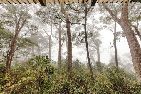 The Chalet - Whitsundays Accommodation 1