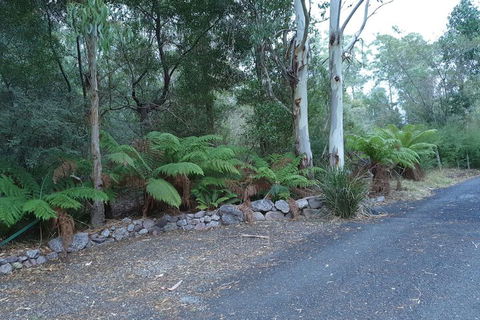 Roland B&B - Whitsundays Accommodation 4