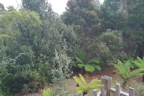Roland B&B - Whitsundays Accommodation 1