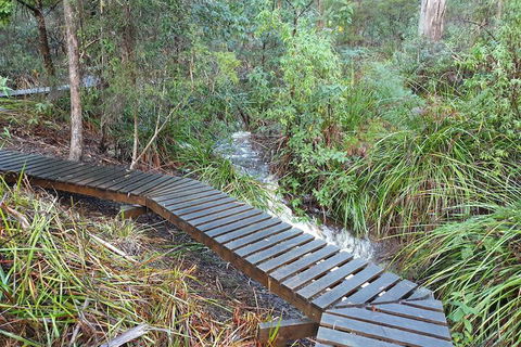 Roland B&B - Whitsundays Accommodation 6