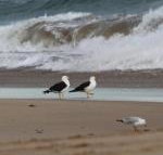 Baillieu Breeze - Whitsundays Accommodation