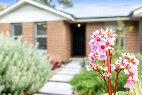 Duck Inn Katoomba - Whitsundays Accommodation 2