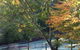 Brentwood B&B Apartments - thumb 3