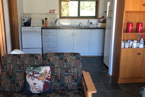 Pets Galore 13 Horizon Parade - Whitsundays Accommodation 4