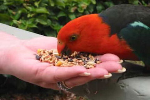 Bonnie Doon Caravan Park - Whitsundays Accommodation 3