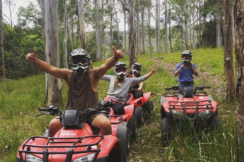 Mount Seaview Resort - Whitsundays Accommodation 3