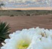 White Cliffs Underground Motel - Whitsundays Accommodation