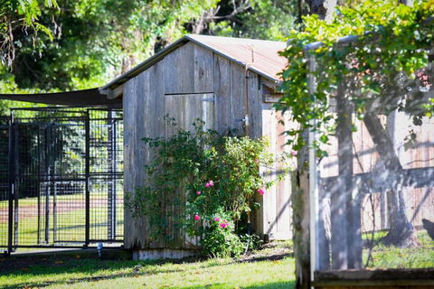 RayfieldsatBerry Kangaroo Valley - Whitsundays Accommodation 5