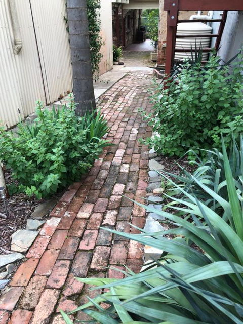 Barossa Barn Bed & Breakfast - Whitsundays Accommodation 5