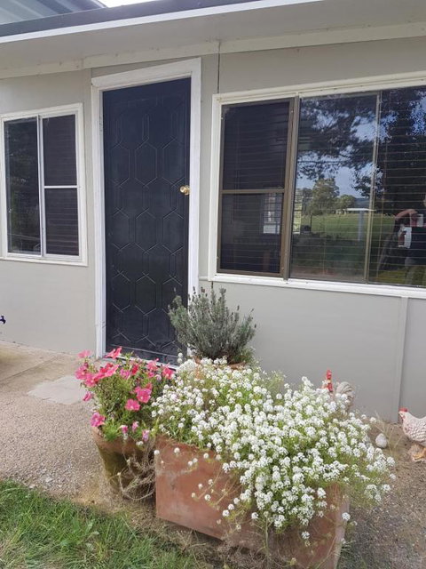 Happy Pig Farm - Whitsundays Accommodation 2