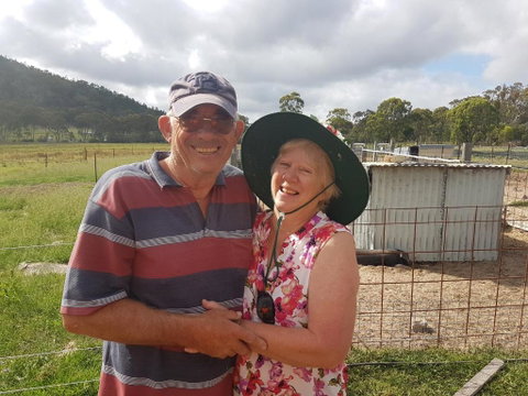 Happy Pig Farm - Whitsundays Accommodation 5