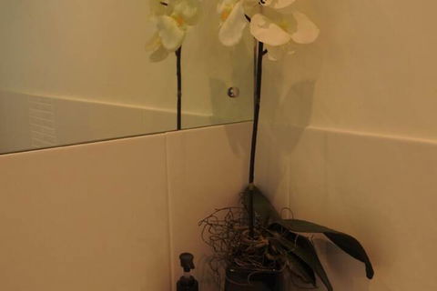 Sanctuary In The Valley - Whitsundays Accommodation 4