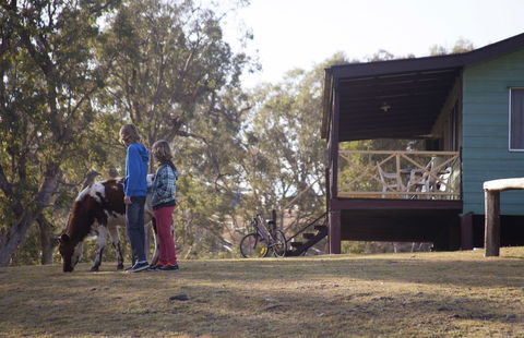 Bestbrook Mountain Resort - Whitsundays Accommodation 4