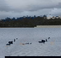 Lake Yalleena Nature Retreat - Whitsundays Accommodation