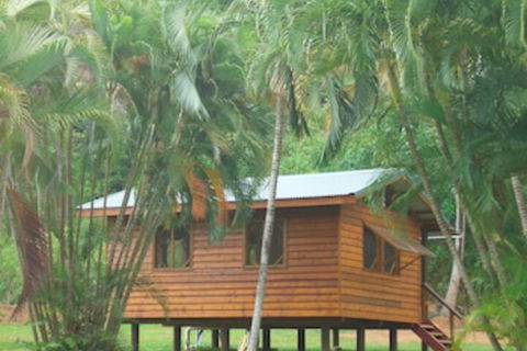 Daintree Rainforest Bungalows - Whitsundays Accommodation 0