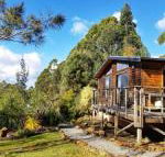 Southern Forest Accommodation - Whitsundays Accommodation