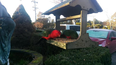 Grand Country Lodge Motel - Whitsundays Accommodation 3