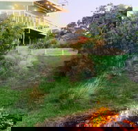 Views Pet Friendly Hotel  Cape Schanck - Whitsundays Accommodation