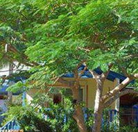 Amber Gardens Guesthouse - Whitsundays Accommodation