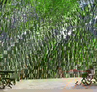 Azabu Boutique Accommodation Byron Bay - Whitsundays Accommodation