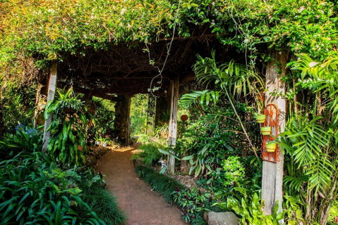 Tamborine Mountain B&B - Whitsundays Accommodation 1