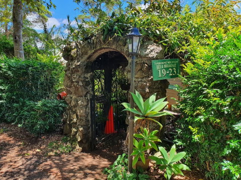 Tamborine Mountain B&B - Whitsundays Accommodation 3