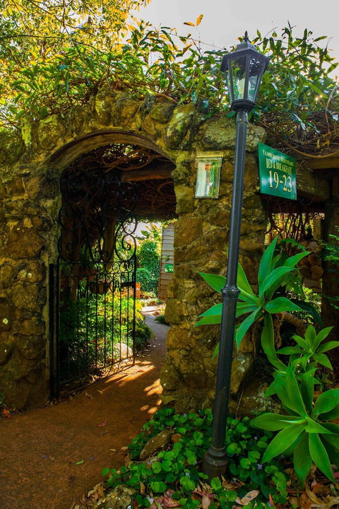 Tamborine Mountain B&B - Whitsundays Accommodation 5