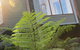 Cladich Pavilions - thumb 1