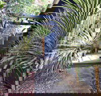 Lornebeach Apartments - Whitsundays Accommodation