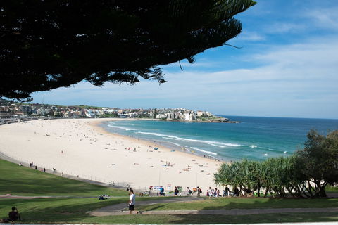 Bondi 38 Serviced Apartments - Whitsundays Accommodation 0