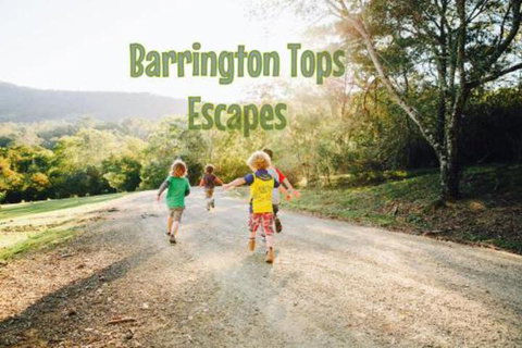 Grand View Holiday Home - Whitsundays Accommodation 2