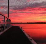 Fairy Wren Cottage Country to Coast Retreat - Whitsundays Accommodation