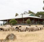 Gilgraves Vineyard Farmstay - Whitsundays Accommodation