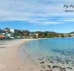 Matador Flat Pet Friendly Accommodation - Whitsundays Accommodation